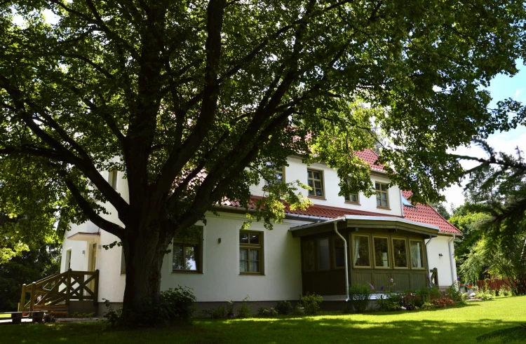 8. Zespół ZielonoMi.jpg