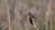 492058548_1497435211683808_5677965048327484616_n.jpg