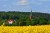 thumbnail-17.jpg