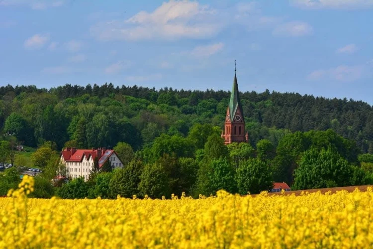 thumbnail-17.jpg